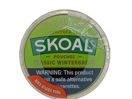 Skoal Pouches Wintergreen .82z 5ct Fashion