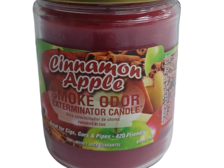 Smoke Odor Cinnamon Apple Candle 13oz Online