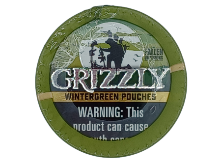 Grizzly Wintergreen Pouches 1.2oz 5ct Online Hot Sale